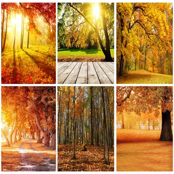 Фон для Фотосъемки Природных Пейзажей ЧЖИСУСИ Осенний Лесной Пейзаж Фотофоны Для Путешествий Студийный Реквизит 1911 CXZM-37