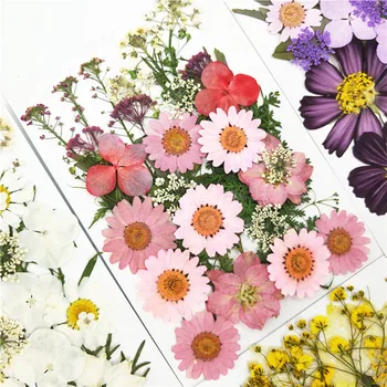 Набор для смешивания нескольких сухих цветов Персонализированная закладка из прессованных цветов для скрапбукинга