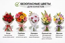 Цветы могут убить вашу кошку..webp