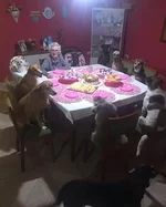 Несколько лет назад в Бразилии местная жительница по имени отметила свой 89-летний день рожде...webp