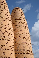 Сизый голубь.webp