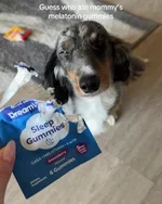 Собака, которая объелась снотворного..webp