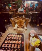 В Стамбуле любят кошек..webp