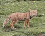 2026-04-03_09-19-41 (1).webp