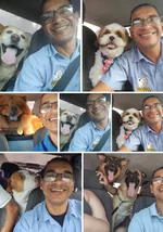 Бразилец открыл такси домашних животных.webp