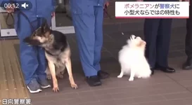 1776739973137.webp