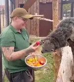 1777952135197.webp