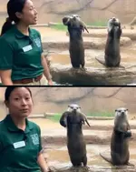 1778069144411.webp