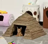 1778767994166.webp