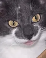 1778932953052.webp