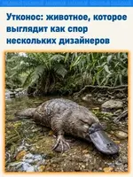 413584381.p.0.360.0.webp