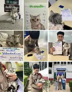 1781064001453.webp